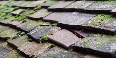 Cwmcarvan roof repair costs